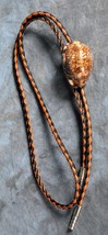 Western Bolo Tie - Brown Cowrie Shell - £3.12 GBP