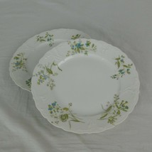 M Redon Limoges 5069 Blue Flowers Salad Plate Set of 2 Fine China France Texture - £15.46 GBP