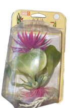 Penn Plax aqua plant flowering 1993 vintage natural beauty red water hyacinth - £7.14 GBP
