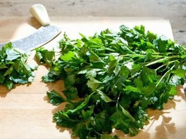 USA Leisure Cilantro / Coriander Coriandrum Sativum Herb Vegetable 250 Seeds - $10.99