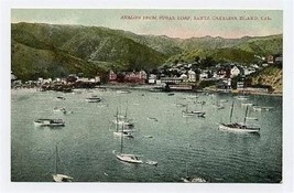 Avalon from Sugar Loaf Santa Catalina Island California Postcard 1900&#39;s - $9.90