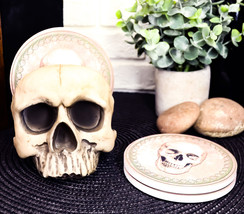 Ebros Gothic Bone Cream Homosapien Half Skull Base Holder With 4 Coasters Set - £22.49 GBP