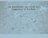 The Phosphoria and Goose Egg Formations in Wyoming by Donald W. Lane - $8.99