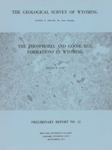The Phosphoria and Goose Egg Formations in Wyoming by Donald W. Lane - £7.10 GBP