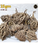 25g Flower Of Maryam 0.88 oz Chaste Tree Herbs Palm Of Mary عشبة كف... - $132.97 MXN 25g Flower Of Maryam 0.88 oz Chaste Tree Herbs Palm Of Mary عشبة كف... - $132.97 MXN