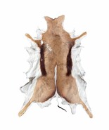 B Grade Springbok Skin XLarge African Springbok Hides - Size: 35 X 30&quot; - €24,93 EUR