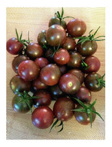 Simple Pack 20 seed Vegetable Organic tomato chocolate cherry - £6.22 GBP