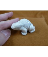 (Y-FRO-584) FROG WHITE GRAY stone gemstone CARVING figurine I love littl... - $14.01