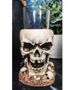 Set Of 4 Grinning Giant Skull With Missing Tooth On Graveyard Shot Glass... - $639.55 MXN