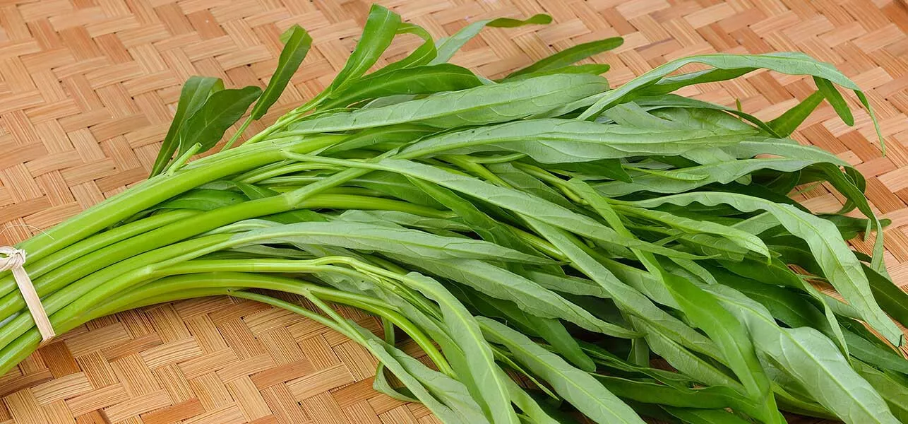 LWS Organic Water Spinach Rau Muong On Choy Brown 1000 Seeds Fast Shipping - $24.80