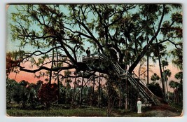 Daytona Florida Postcard The Big Tree House 1910 Spanish Moss Covered Vintage - £9.81 GBP