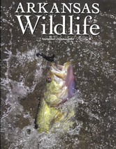 Arkansas Wild Life Sept Oct 2024 Lake Monticello Leopard Darter Turkey AGFC Ward - $15.84