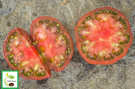 New Fresh 50 Seeds Golova Negra Tomato Juicy Tomatoe Vegetable Garden - $9.49 CAD