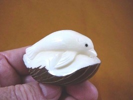 (TNE-SEAL-237-A) little white baby Seal TAGUA NUT palm figurine carving ... - $22.43