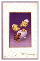 Fantasy Easter Greetings Baby Chicks Eggs Embossed DB Postcard H29 - £3.11 GBP