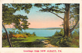 Nuovo Albany Pennsylvania Greetings From Cartolina c1933 - £6.71 GBP