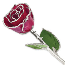 Burgundy Lacquer Dipped Silver Trimmed Real Rose GM16753 - £83.67 GBP