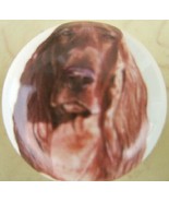 Ceramic Cabinet Knobs Knob w/ Irish Setter DOG Lg - $6.17 CAD