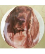 Ceramic Cabinet Knobs Knob w/ Irish Setter DOG Lg - £3.56 GBP