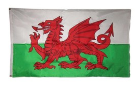 AES 3x5 Wales Welsh Dragon Country 200D Nylon Flag 3&#39;x5&#39; Brass Grommets 2 Clips  - £10.15 GBP