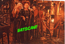 HOCUS POCUS 1993 5x7 Color Photo From Original Film!  Bette, Sarah, Kath... - $6.50