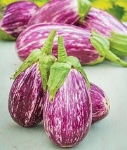 Eggplant Listada De Gandia, 25 Seeds R - £10.72 GBP