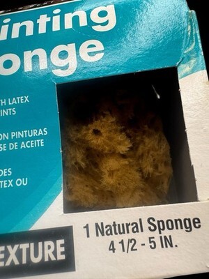 Armaly ProPlus Painting Sponge Lot 3 Medium & Fine Texture 4.5-5 Inch Sponges Item image 4