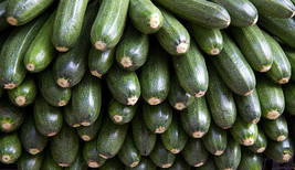 BPA 30 Seeds Gray Zucchini Heirloom Summer Bush Squash Cucurbita Pepo VegetableF - £7.84 GBP