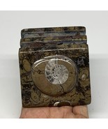 546g, 3&quot; x 2.9&quot; x 2&quot; Fossils Orthoceras Ammonite Business Card Holder,B8109 - £10.98 GBP