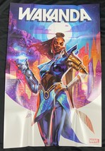 Wakanda 1 24x36 Inch Promo Poster Marvel 2022 - £7.95 GBP