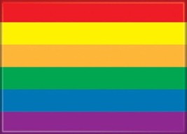 Pride Lgbtq+ Rainbow Flag Refrigerator Magnet New Unused - £3.17 GBP