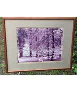 ROBERT WERLING Original 1970s SILVER GELATIN YOSEMITE PHOTOGRAPH s/o ANS... - $2,995.89 CAD