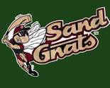 Savannah Sand Gnats Baseball Embroidered Mens Polo Shirt XS-6XL, LT-4XLT... - £21.64 GBP+