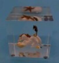 Acrylic  Paperweight 3"  Sand And Shells Inside Ppwd - $37.62