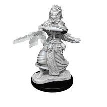 D&amp;D Nolzur&#39;s Marvelous Unpainted Miniatures - W14 Night Hag &amp; Dusk Hag - £7.49 GBP