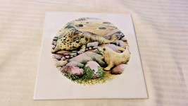 Mama Seal and Baby Seal at Seaside Ceramic Tile or Trivet  6&quot; Square - £23.90 GBP