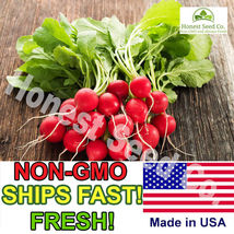 Champion Radish Seeds |Organic Non-GMO  Fresh Vegetable 250 Seeds - £8.26 GBP