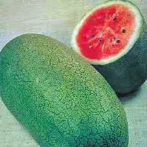 Watermelon, Charleston Grey, Heirloom, Organic 100 Seeds, Large &amp; Super Sweet - £7.02 GBP
