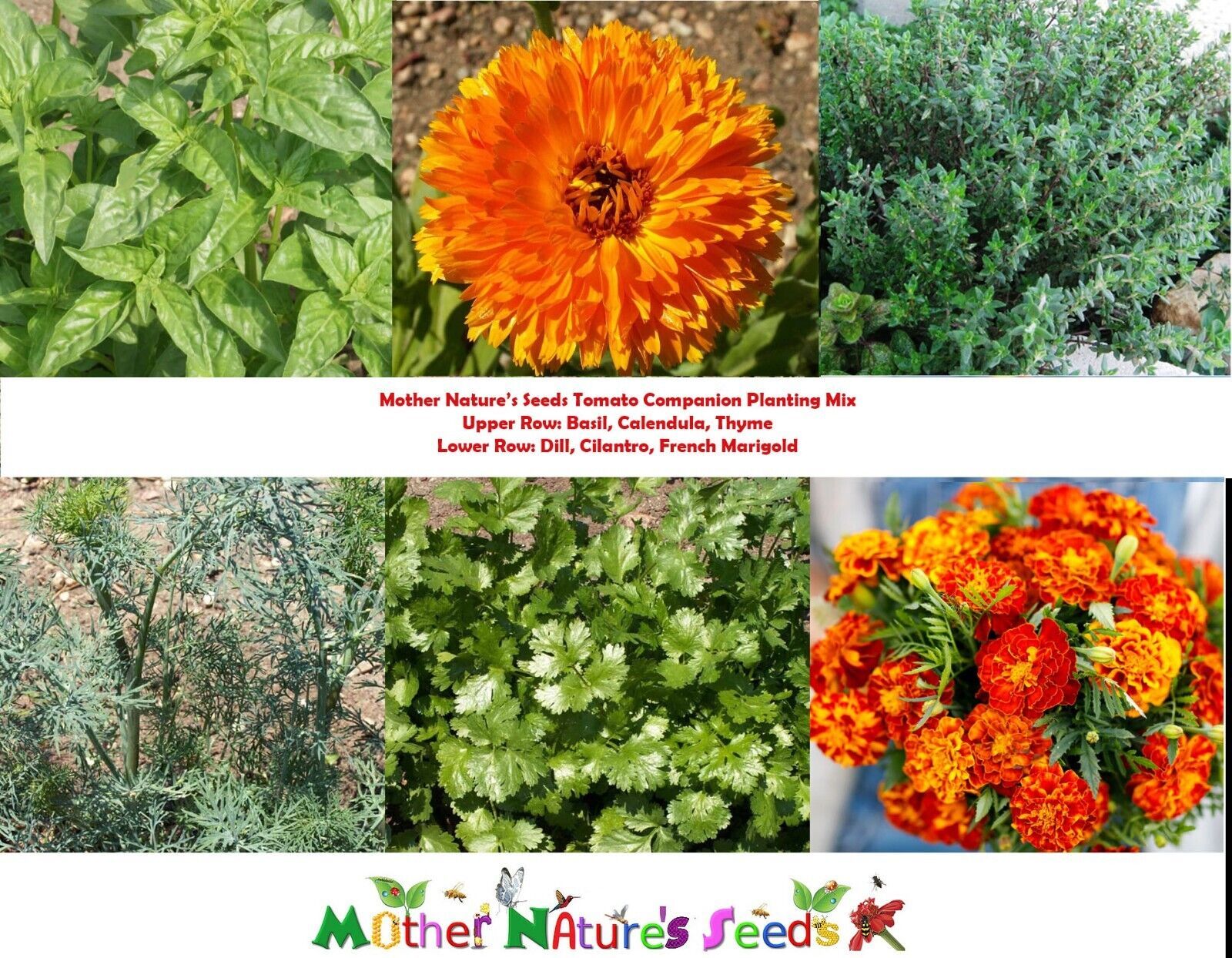 Tomato Companion Plant Mix W Thyme Basil Marigold More 500 Seeds Easy To... - $10.95