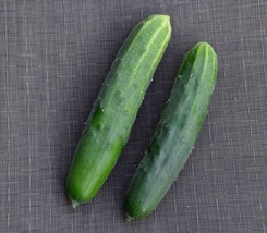 Semilir 30 Seeds Marketmore 76 Cucumber Seeds Organic Vegetable Garden Patio Con - £7.13 GBP