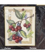 2004 Bucilla Plaid Counted Cross Stitch Kit 43602 Cherries 4.5&quot; x 6.5&quot; NEW - £9.84 GBP