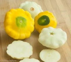 10 Patty Pan Squash Seeds Yellow And White Mix Yummy Tasty Fresh Seeds USA - £12.04 GBP