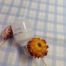 LuckyLume Lamp Bulbs – Light Up Your Space image 4