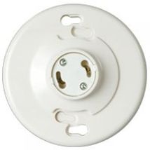 EATON Wiring GU24W-SP-L 660-Watt 250-Volt Keyless Ceiling Lamp Holder - $8.95