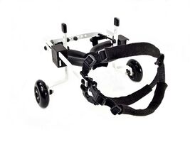 Pets and Wheels Dog Wheelchair - For XXS/XS Size Dog - Color White 5-15 Lbs - $2,342.72 MXN