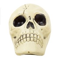 Greenbrier International Plastic Skull - £6.82 GBP