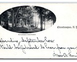 Lake Side Path Lake Chautauqua New York NY Vignette UDB Postcard U20 - £2.75 GBP