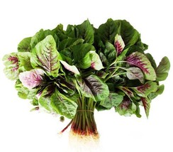 1 Pack 1200 Amaranth Seeds Amaranthus tricolor Organic Vegetable Seed - $4.02