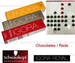 1x Schwarzkopf IGORA Permanent Color Creme Chocolates / Reds 60ml  - $9.50