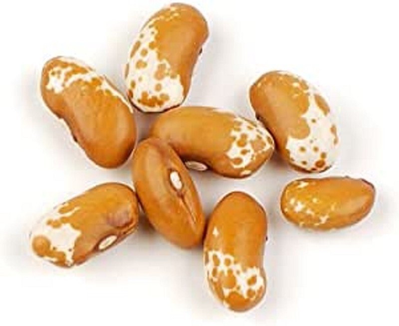 PSA 30 Jacob&#39;S Cattle Gold Bean Seeds Fast Grow - $14.60
